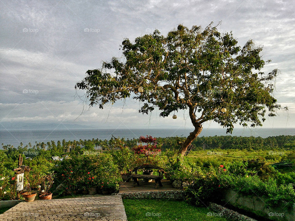 Overlooking the Bay. An afternoon visit at the place overlooking the Sarangani Bay.