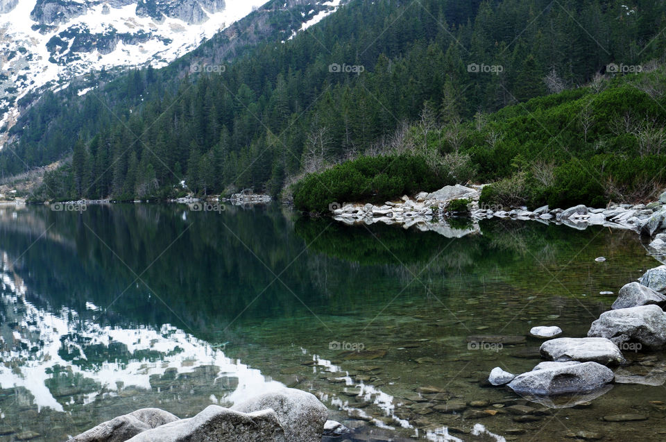 View of snowy mountain and trees reflecting on lake