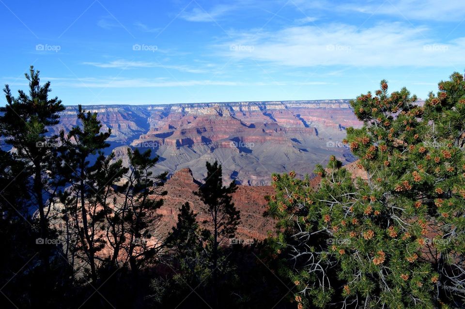 Overlooking the Grand Canyon from the Kaibab Trail on the South Rim. 