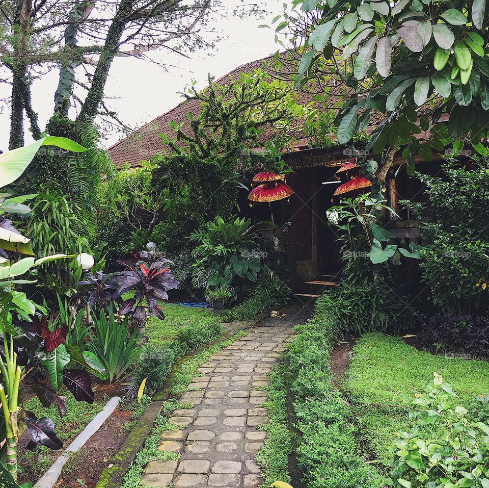A pathway leads to the entrance of an Indonesian spa surrounded by lush greenery.