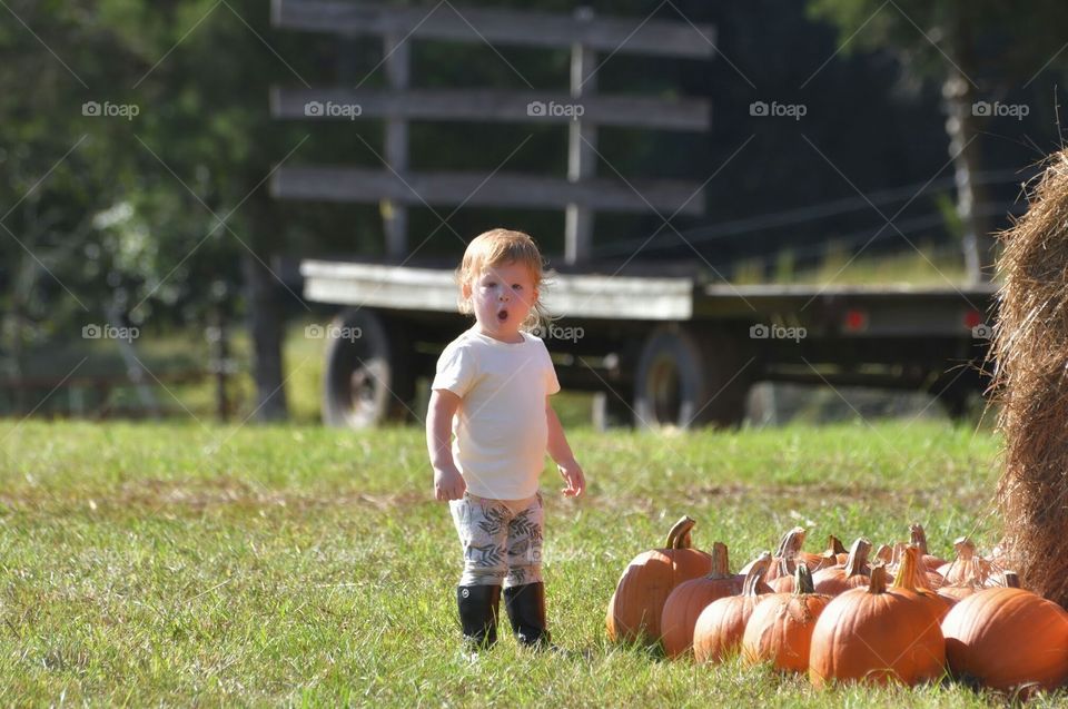 Surprised boy standing on pumpkin field