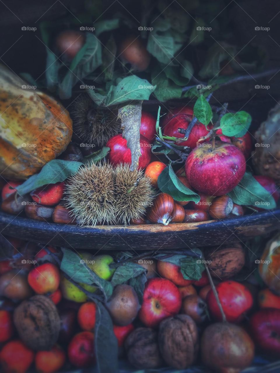 Autumn fruit decorations 