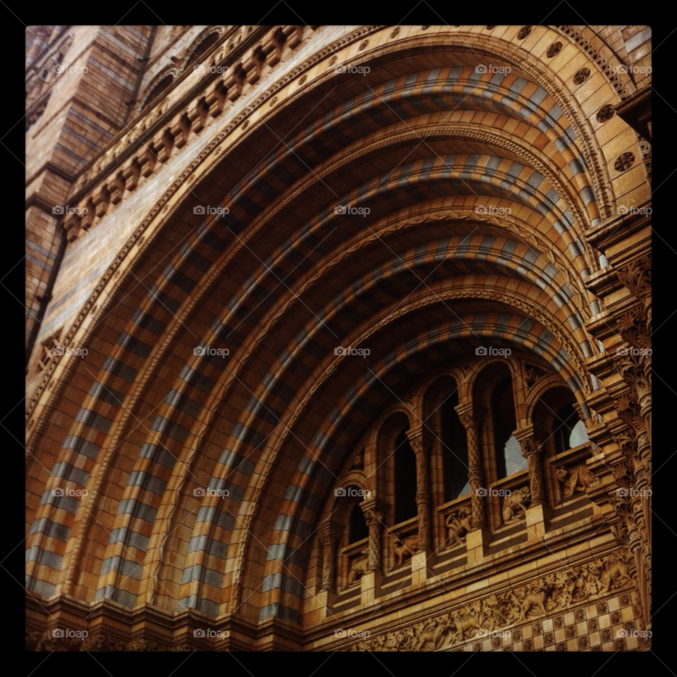 natural history museum london romanesque by soosieg