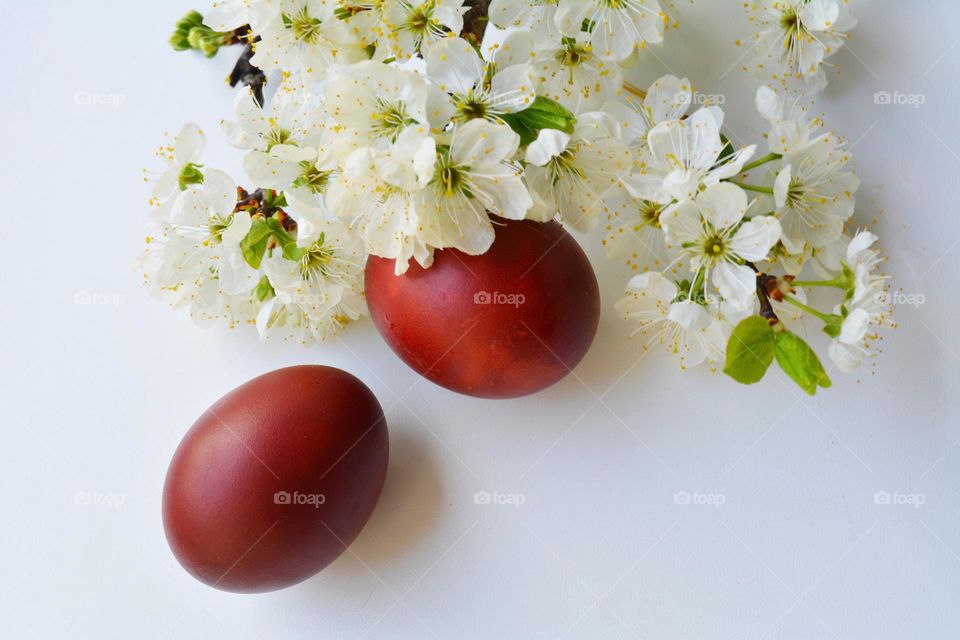 holiday Easter eggs and spring flowers blooming, love spring 💖