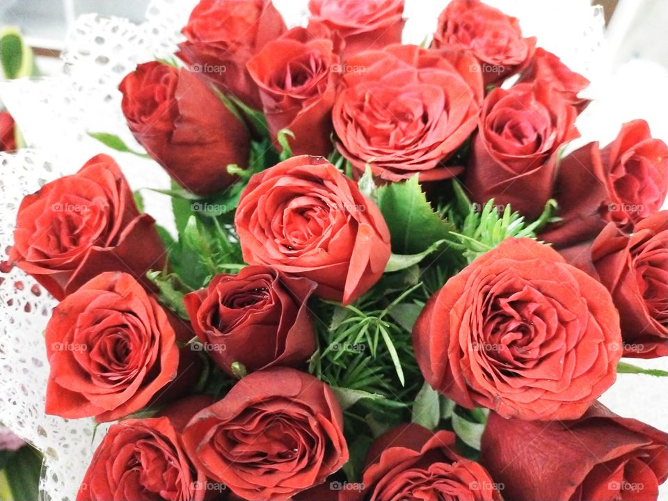 Red Roses are the symbol of Love and affection.