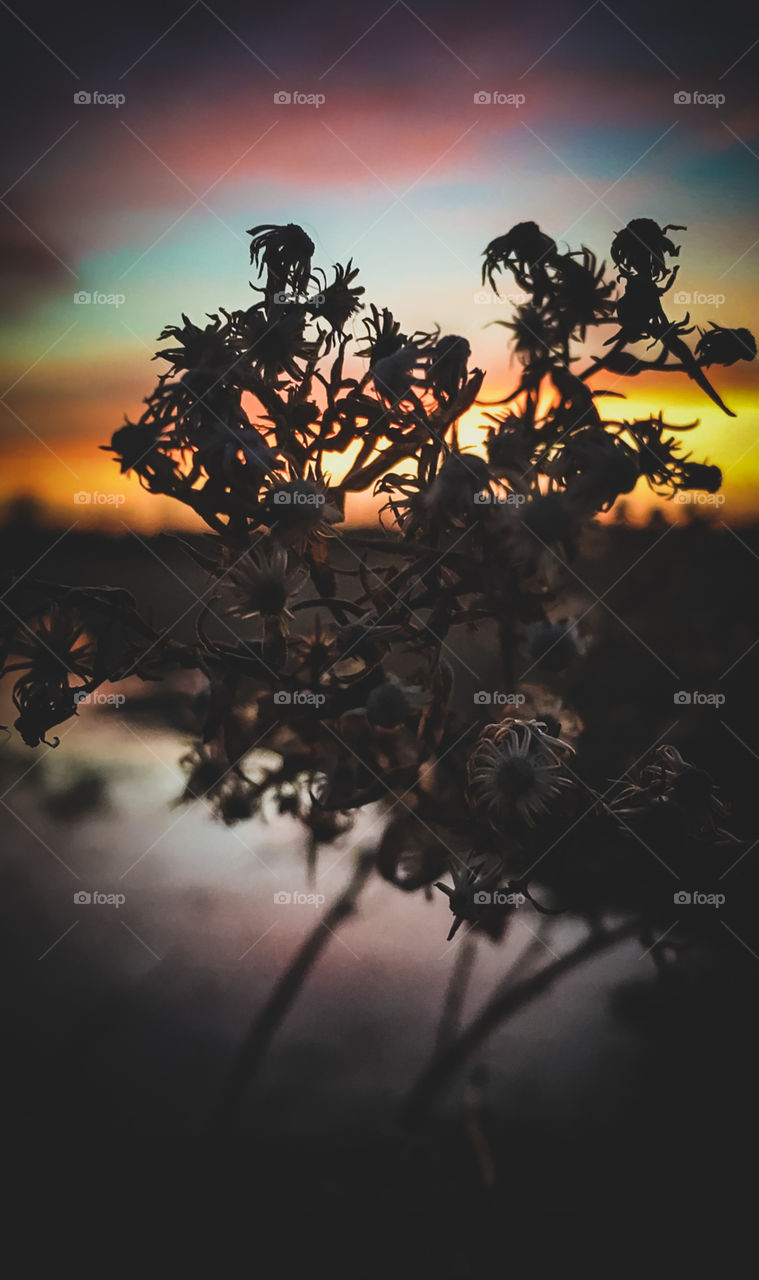 Colorful Minnesota sunset