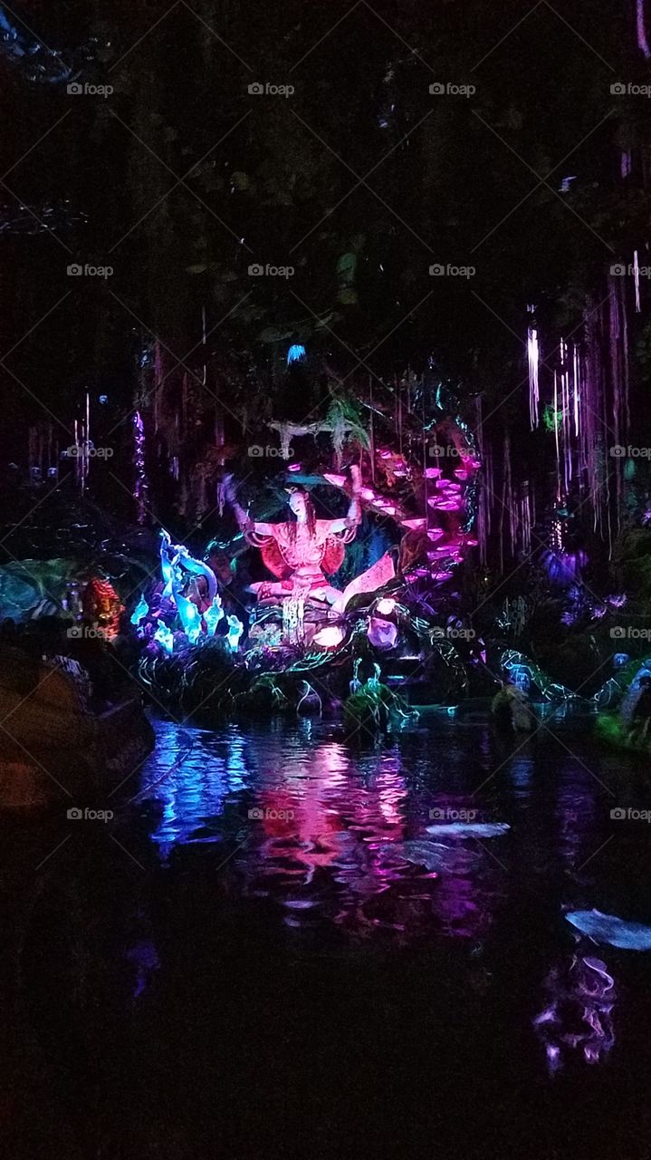 Disney's Animal Kingdom Theme Park Na'vi River Journey