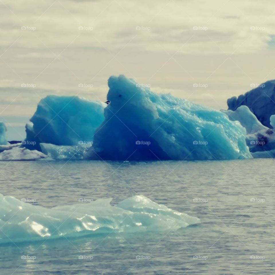 Iceberg Lagoon.