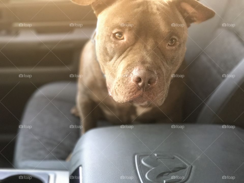 Along for the ride!! 