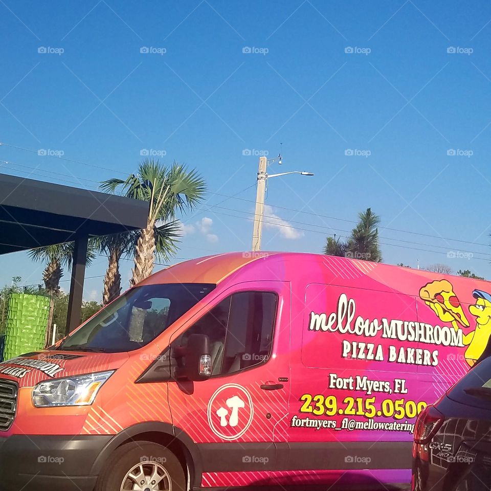 🍄MELLOW MUSHROOM, THEY EVEN HAVE A VAN 🍄 😘💫☄😋🔮