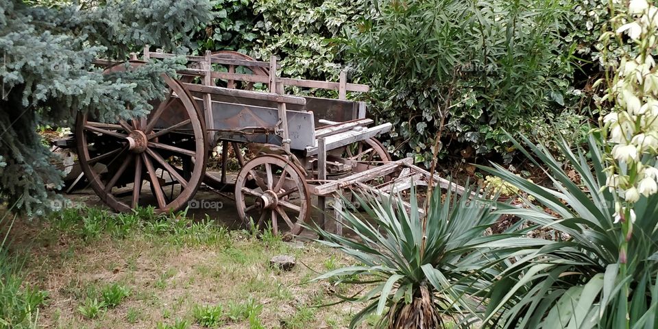carriage antique