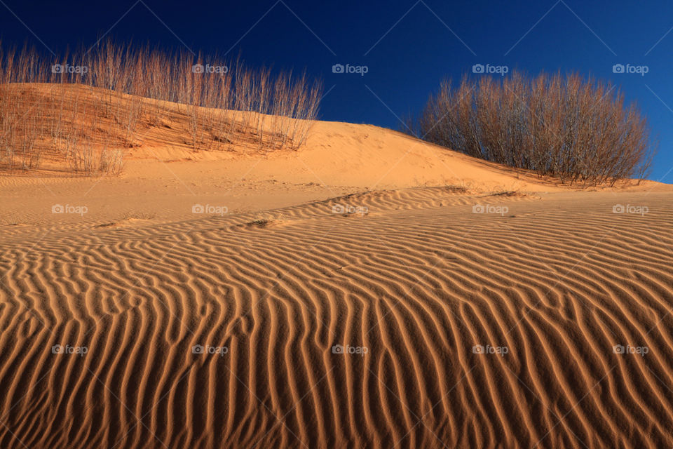 evening shadow on sand dunes