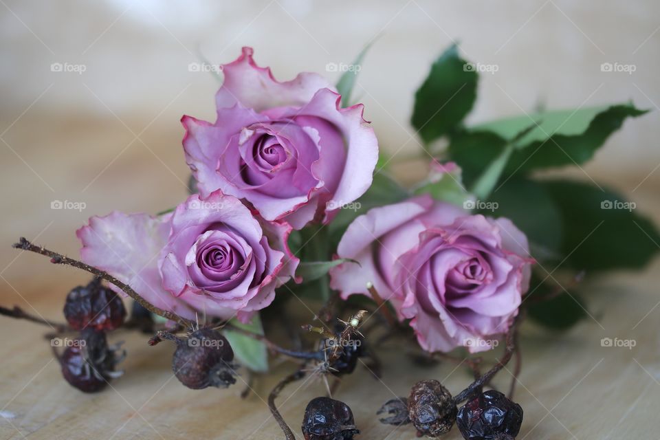 Pink roses bouquet