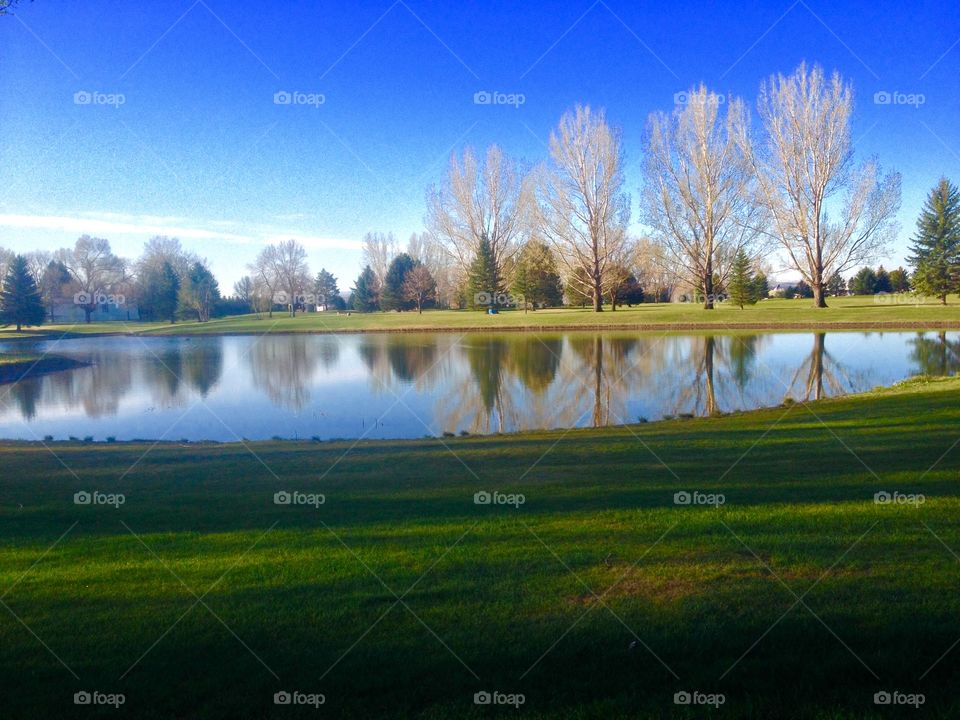 Golf course. Water pond on golf course