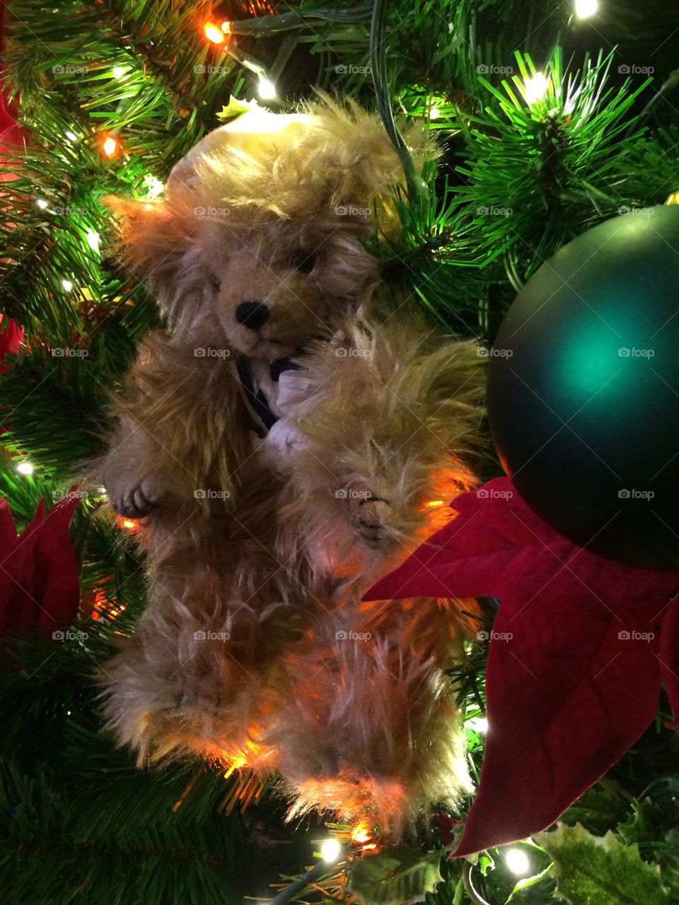 Christmas tree teddy bear