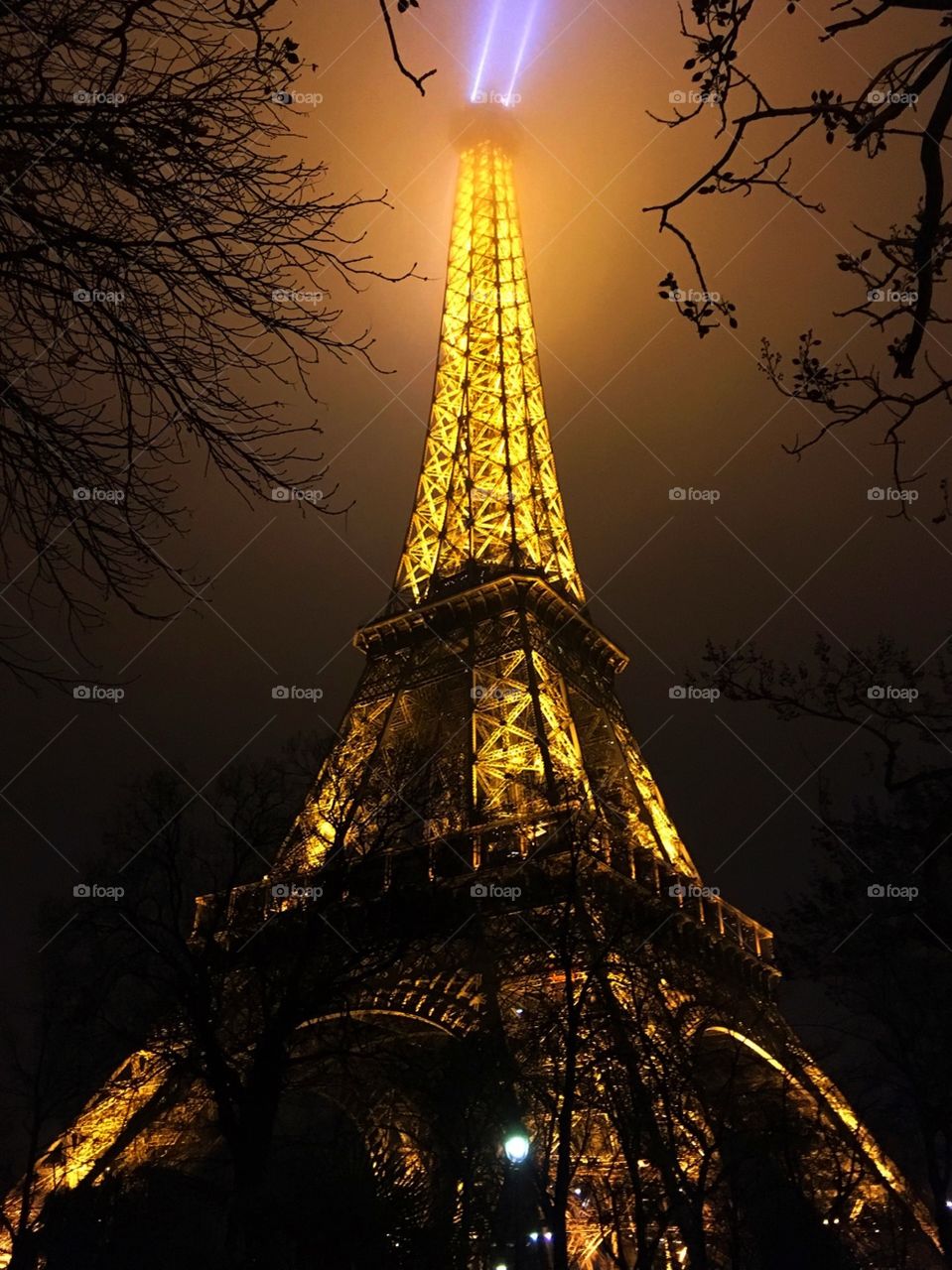 Eiffel view through trees.