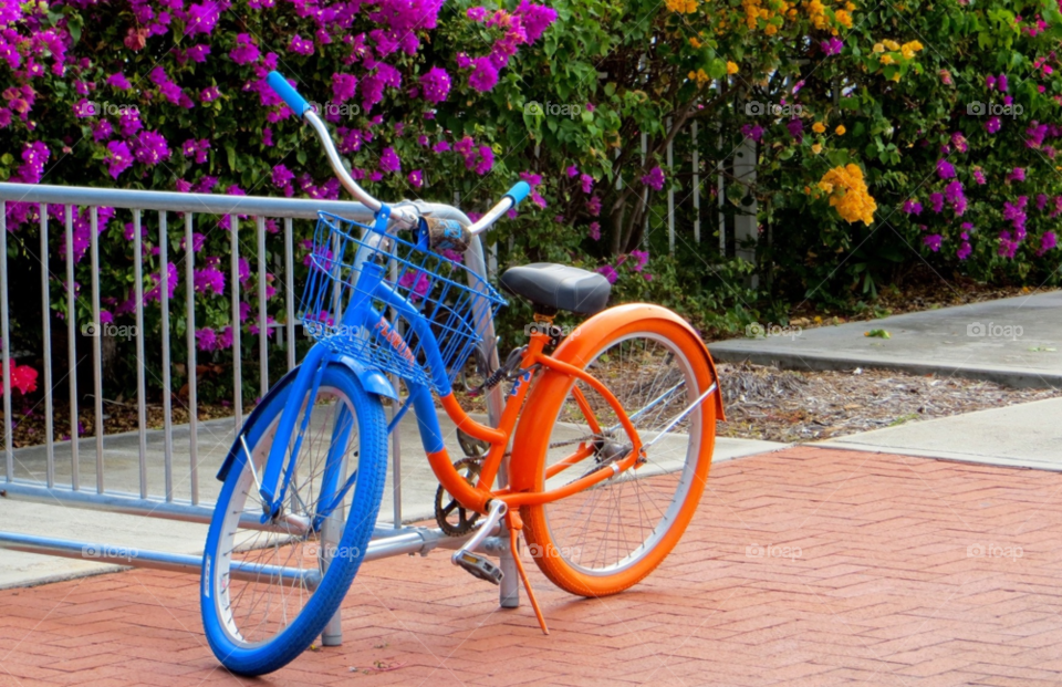 florida bicycle flowers colors by wme