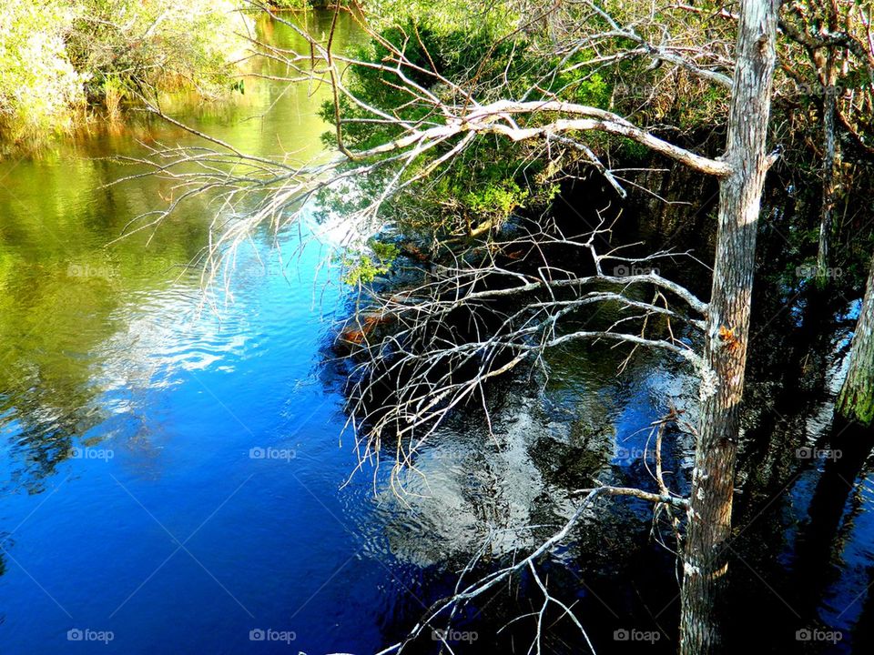 Boggy Bayou. Niceville,Florida swimming hole!