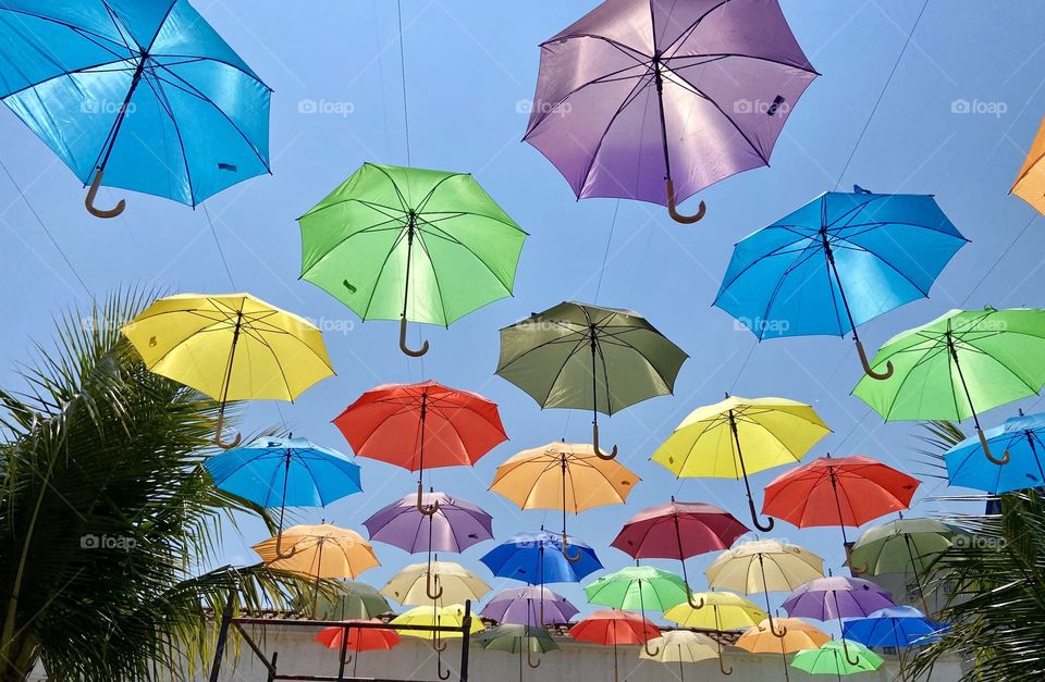 colorful umbrella