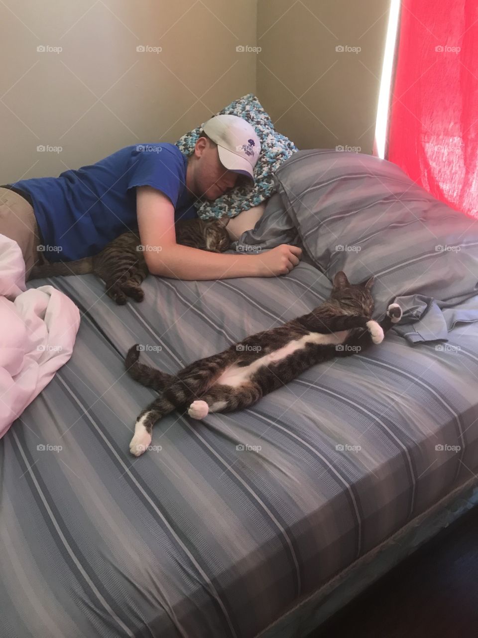 Sleeping with the cats