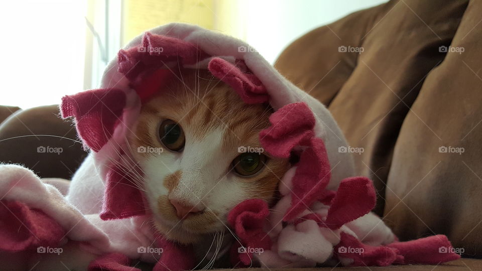 is it winter already?