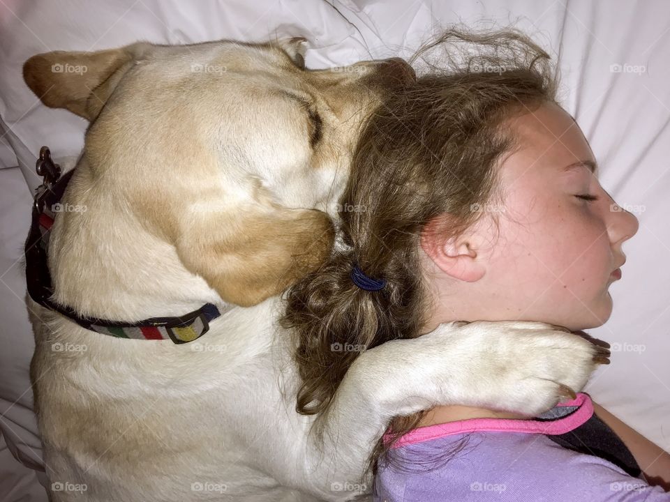 Girl and her trusted companion, a yellow Labrador dog, snuggling and sleeping restfully 
