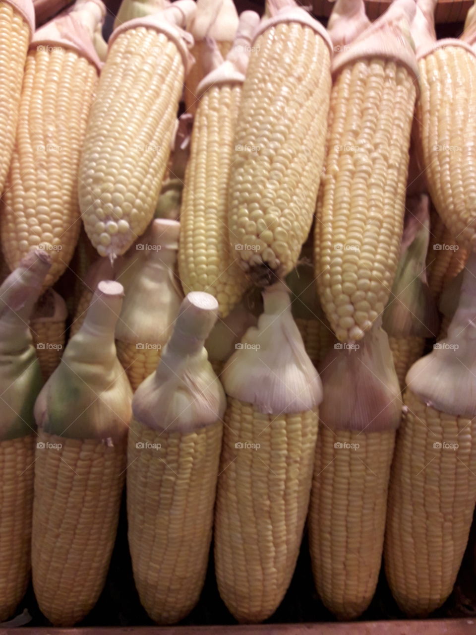 a group of soft yellow raw corns