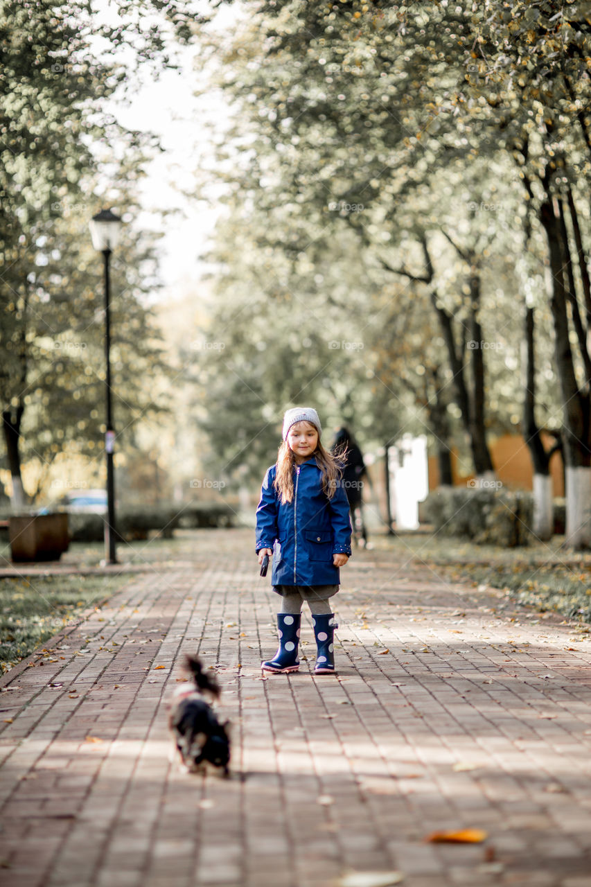 Little girl in waterproof boots walking with chihuahua dog 