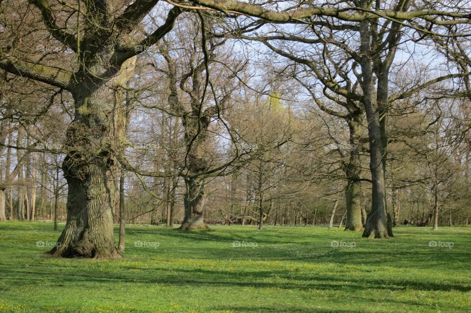 Spring is approaching