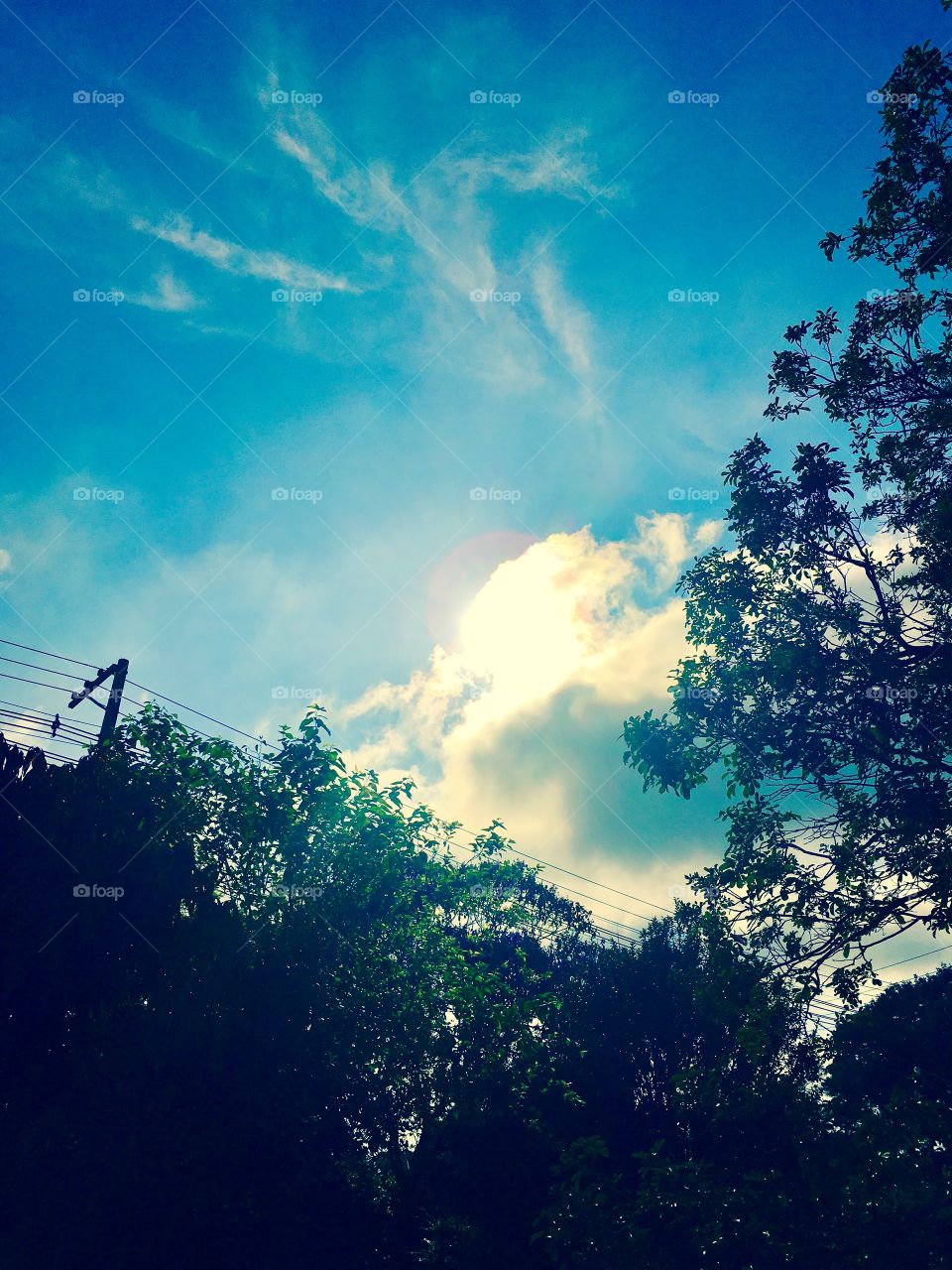 Nosso #céuazul, com as nuvens enfim dando uma trégua!
☀️ 
#sol
#nuvens
#céu
#paisagem
#natureza
#fotografia é nosso #hobby