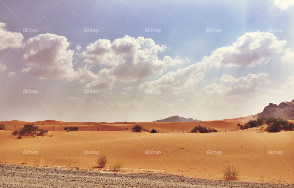 Desert landscape 