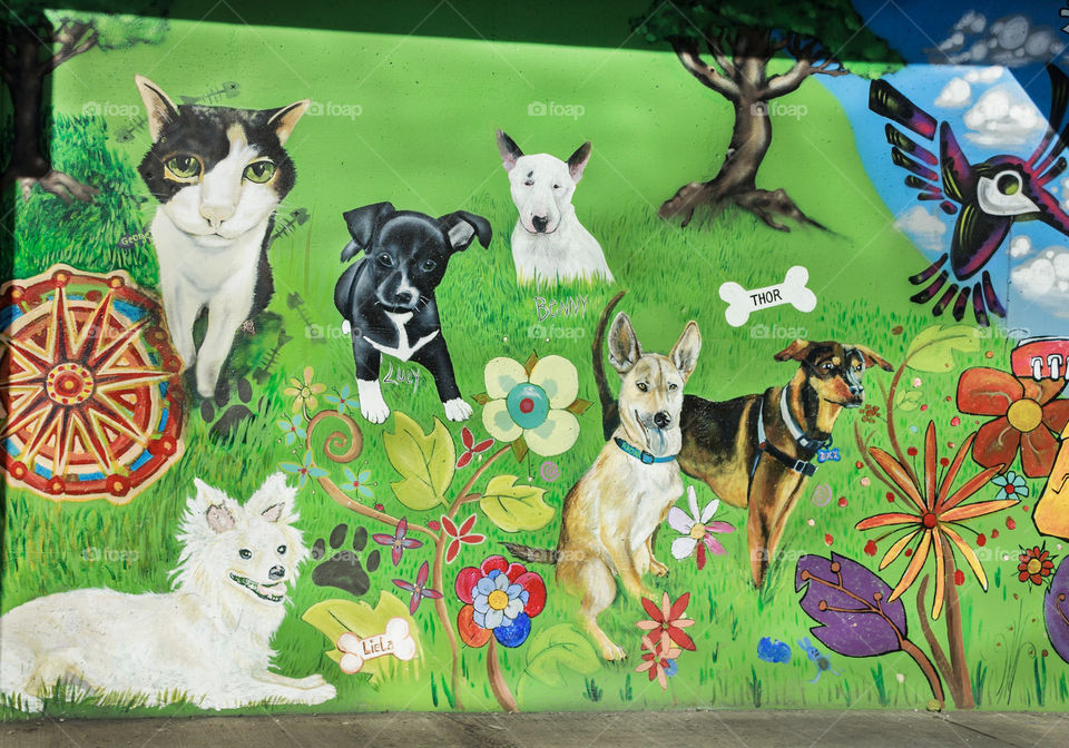 animal graffiti