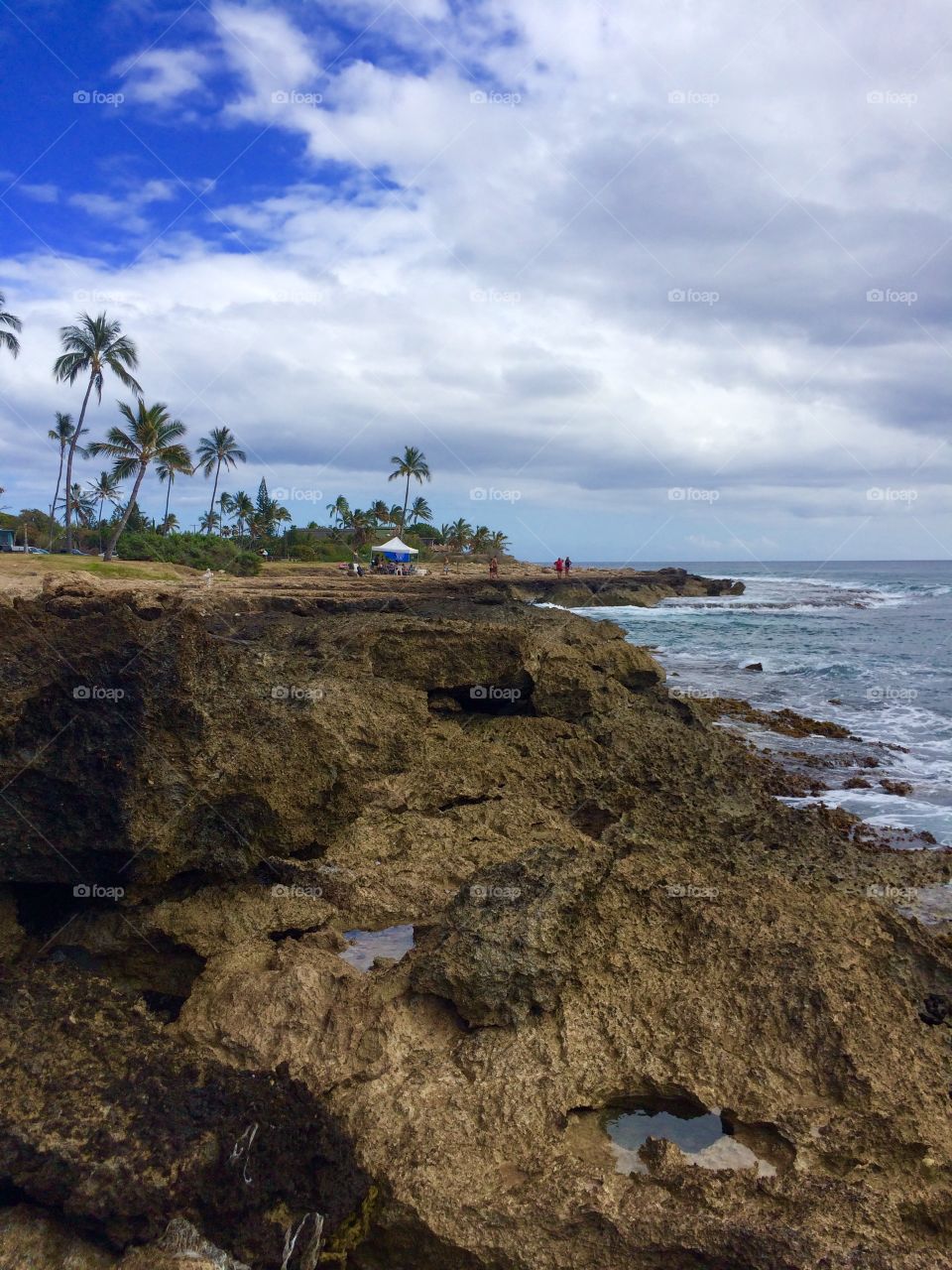 Seashore, No Person, Beach, Water, Ocean