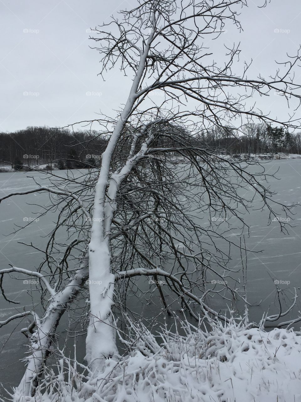 Frosty lake view