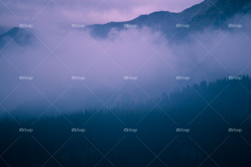 mountain fog and forest in bright colors