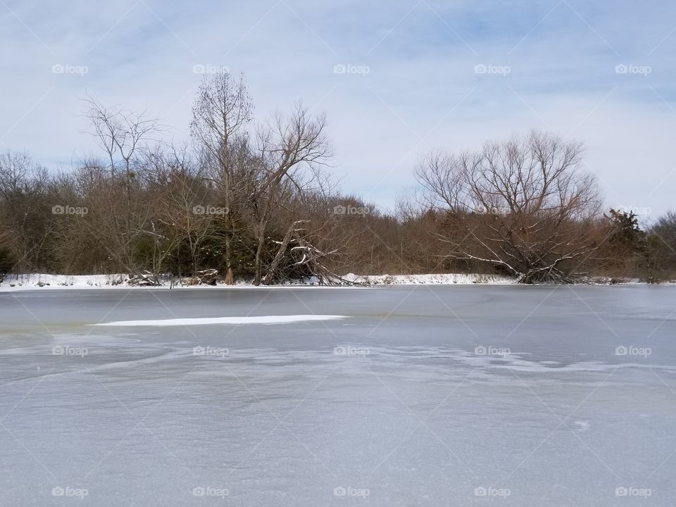 Pond in Winter