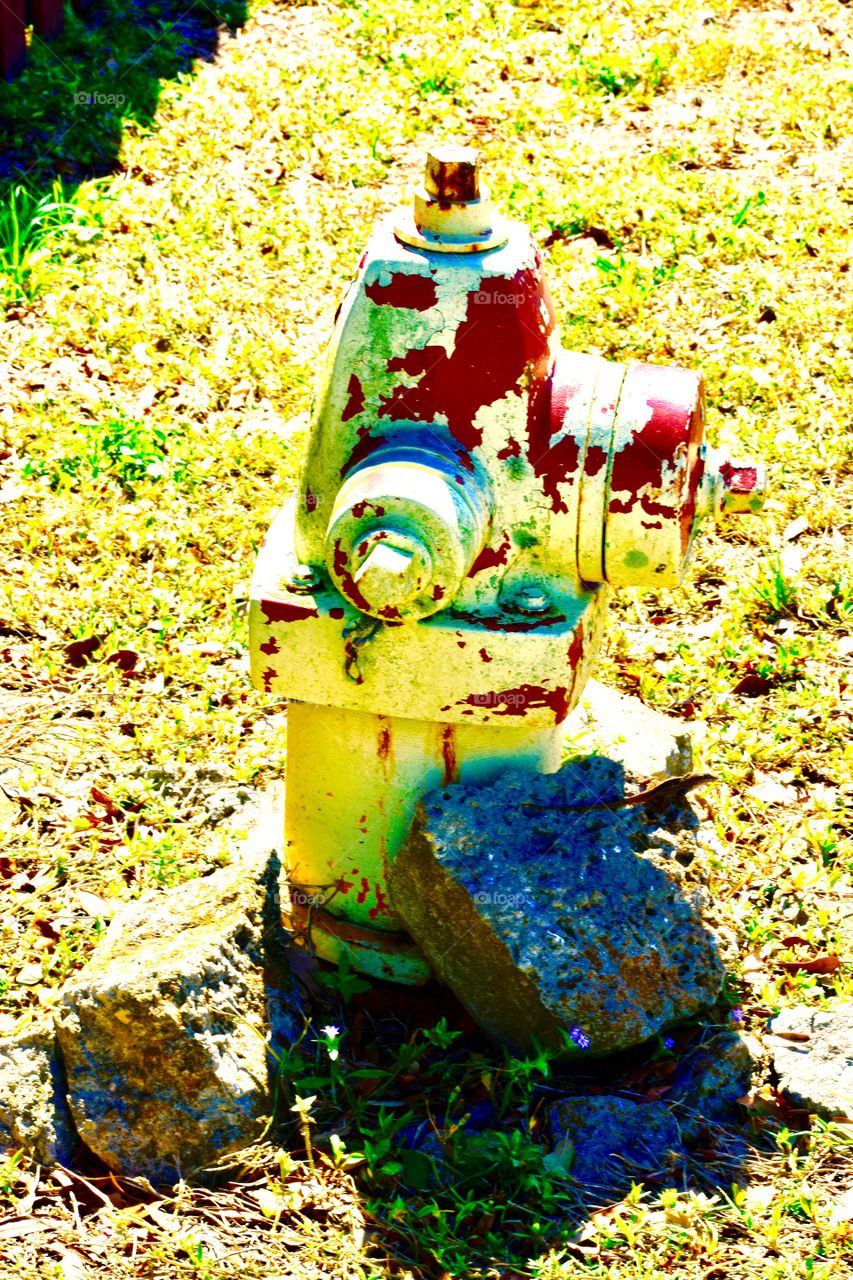 Fire hydrant 