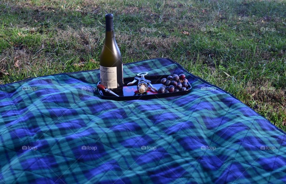 Picnic in the mountains