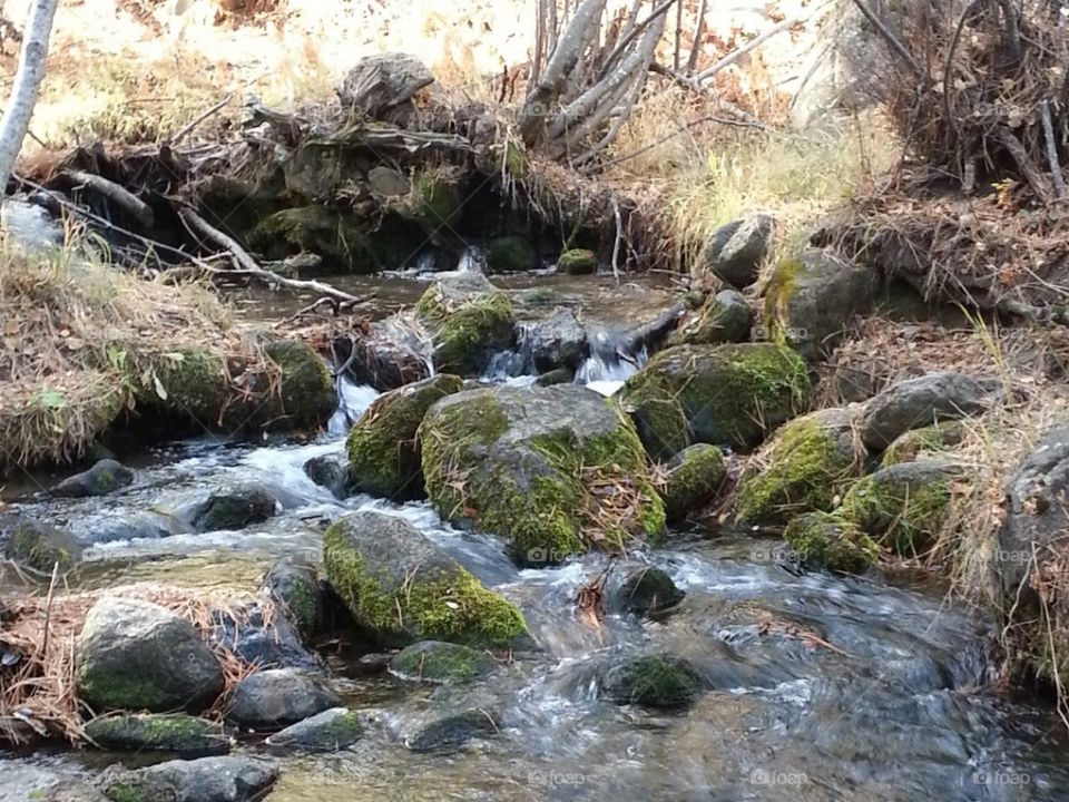 Utah creek