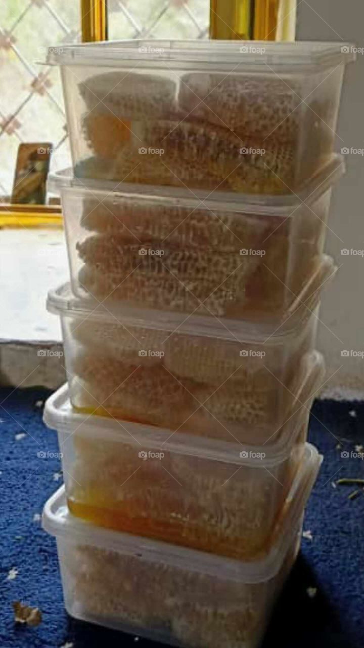 A very beautiful picture, and there is no better picture than it. There is no better picture of green herbs and colorful, red and white roses than it. Glory be to God, the natural and picturesque view, and there is no more