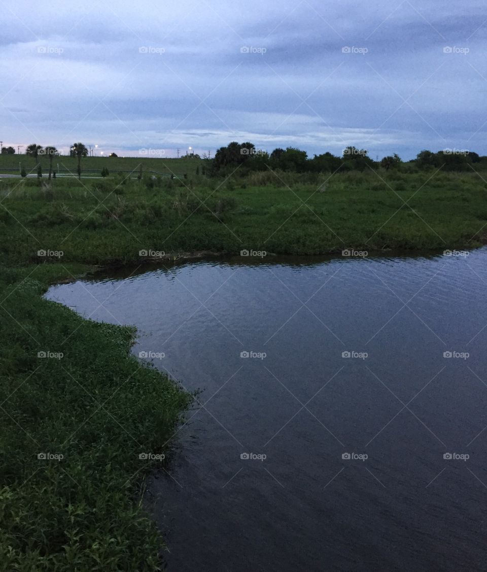 Marsh on lake okeechobee 