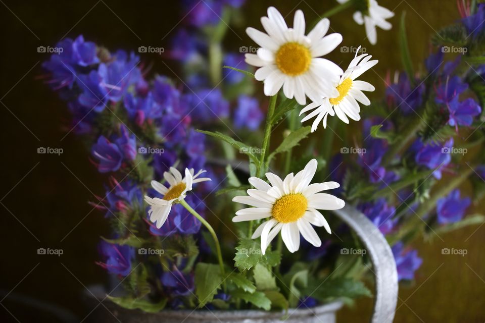 Summer Bouquet with daisies and blueweed 
