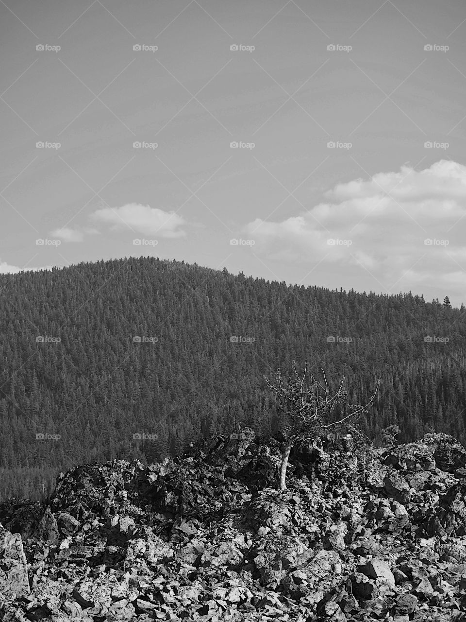 Rugged terrain of the Big Obsidian Flow 