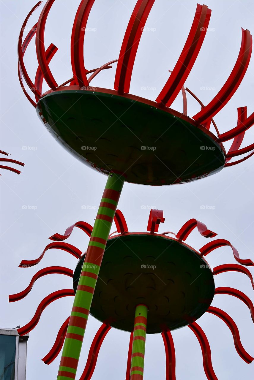 Sonic Bloom science art in Seattle