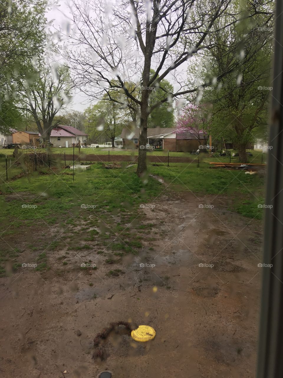 Blah Blah Blah Rain Rain Rain!! all this rain will make the flowers happy happy happy!