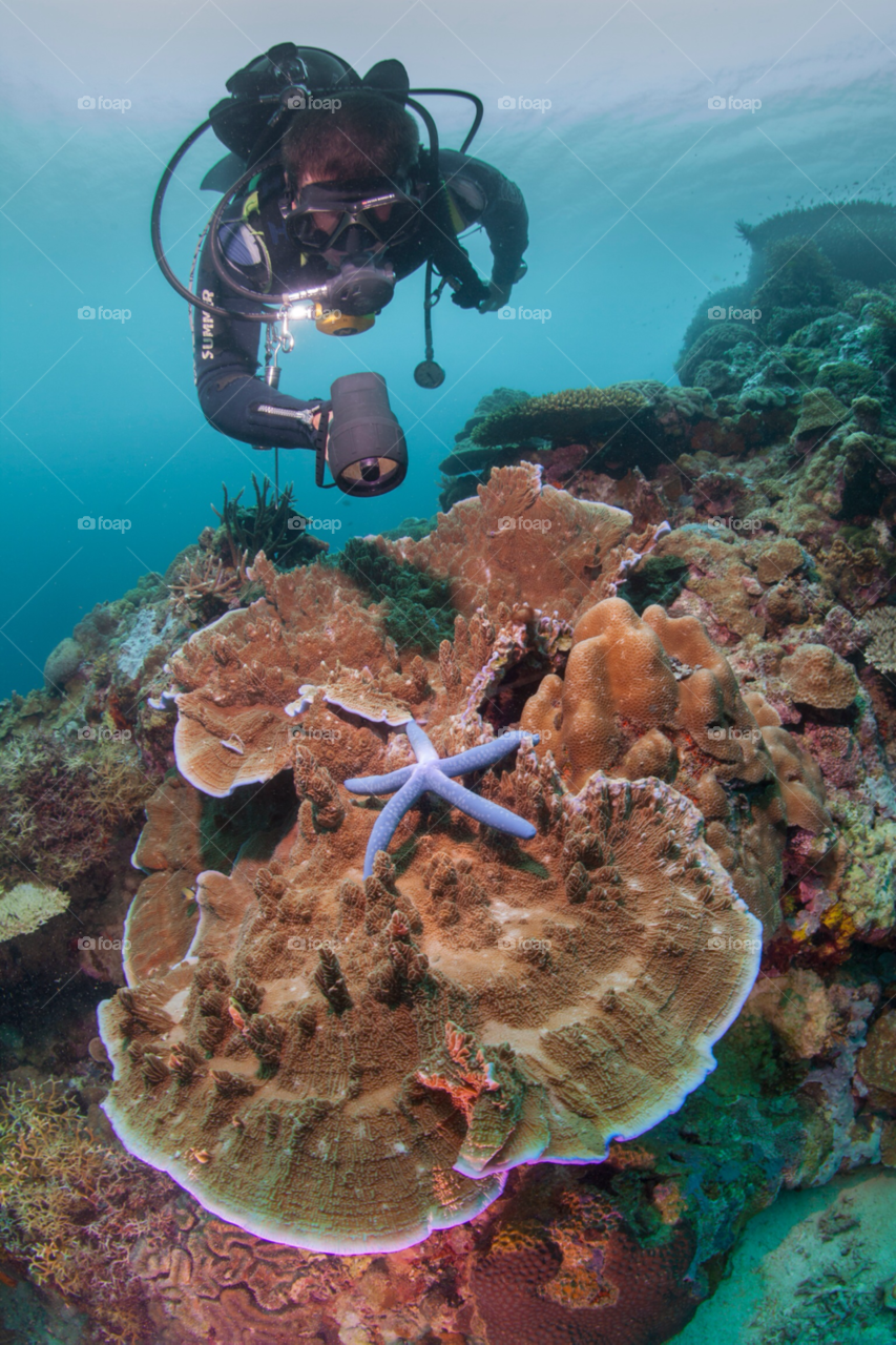 philippines cebu underwater ecological by paulcowell