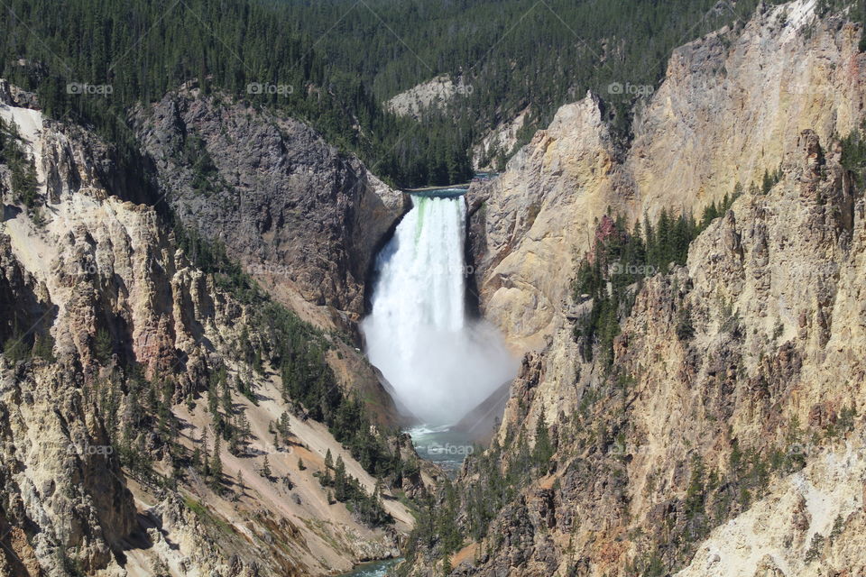 Waterfall rocks Rocky Mountain Cliff forest woods wilderness water river trees outdoors scenic