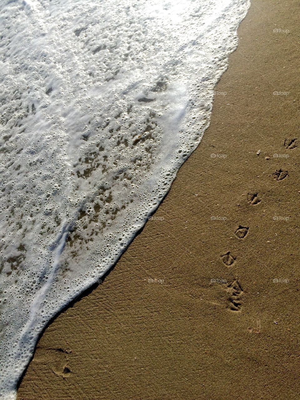 Close-up of coastline