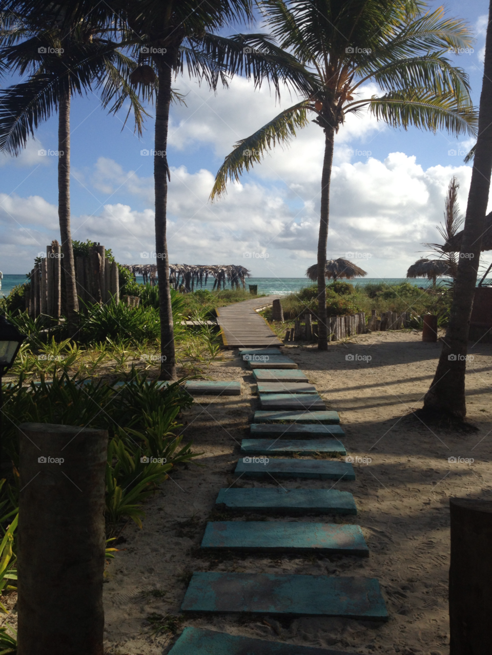 Scenic view of a beach