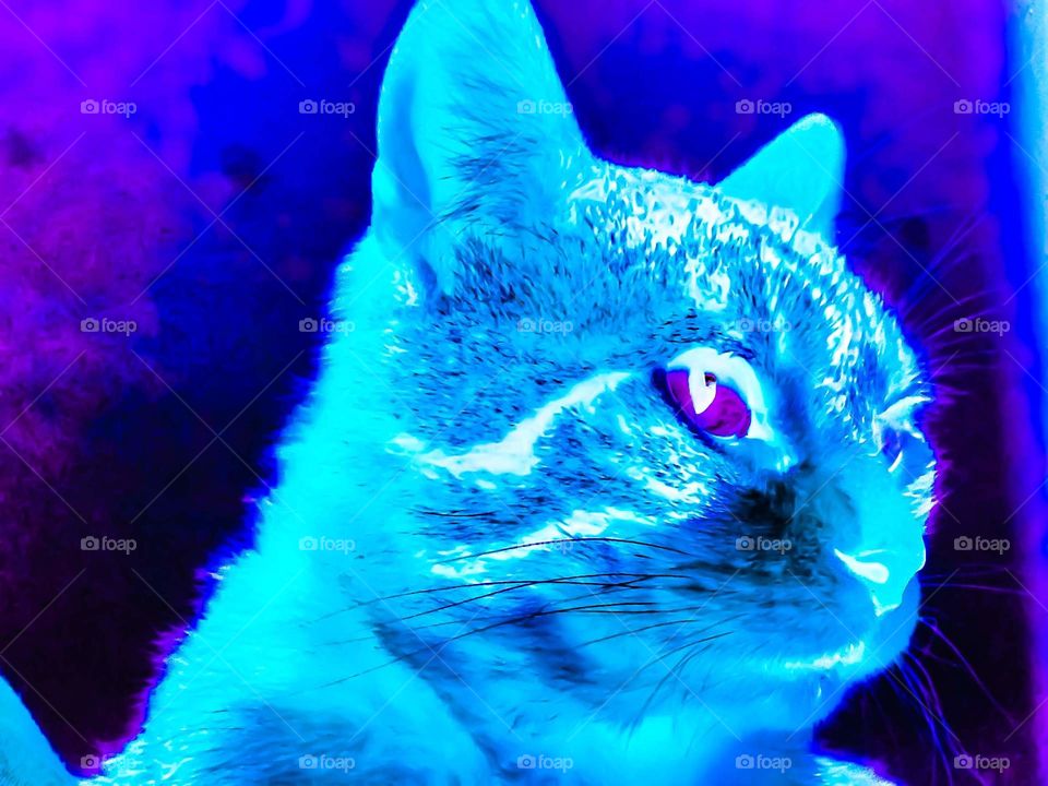 I can sense your presence